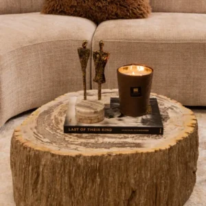 Beistelltisch Taly Natur aus versteinertem Holz kompakt Unikat | PTMD bei STUFF Shop kaufen