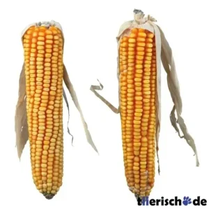 Natur-Snack Maiskolben für Kaninchen, Kleinnager – mit Lieschblatt, 2 St./250 g